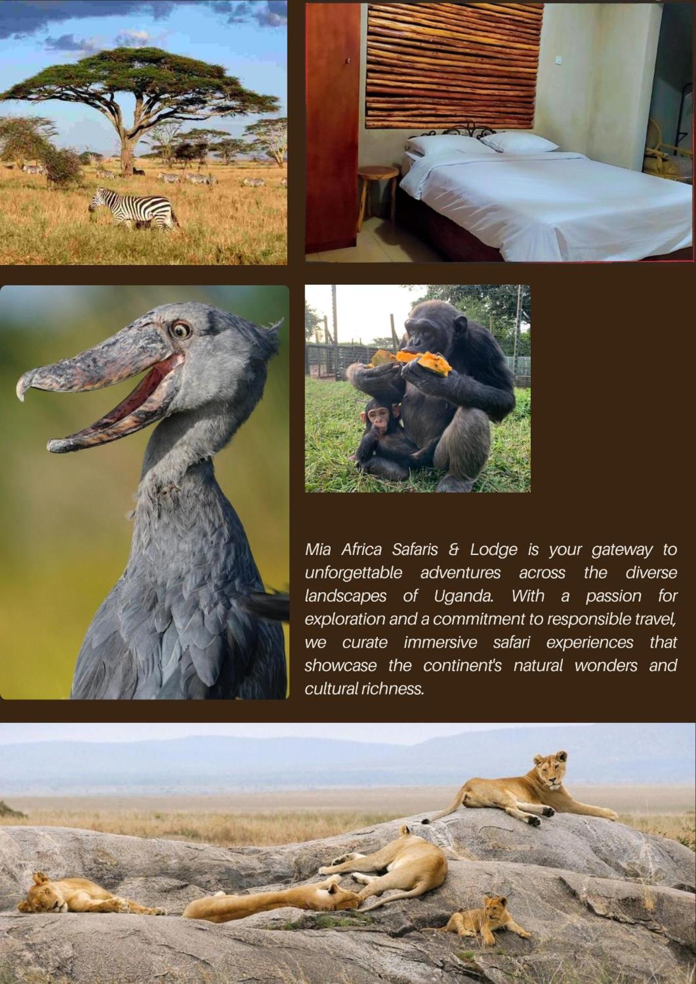 Mia Safari Lodge And Restaurant Энтеббе Экстерьер фото